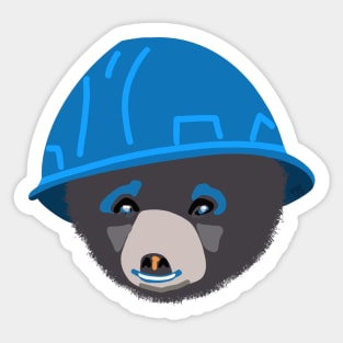 Funny Bear Cub in Blue Hard Hat Electricians Apprentice Carpenters Newbie Construction Humor Sticker